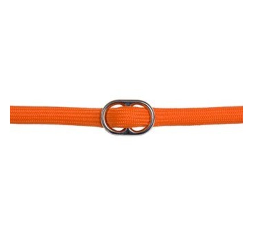 Training Leash Orange