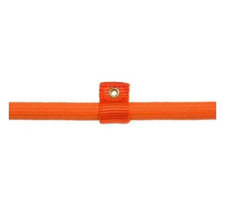 Training Leash Orange