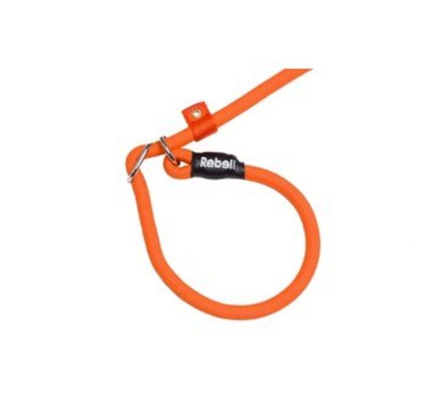 Training Leash Orange