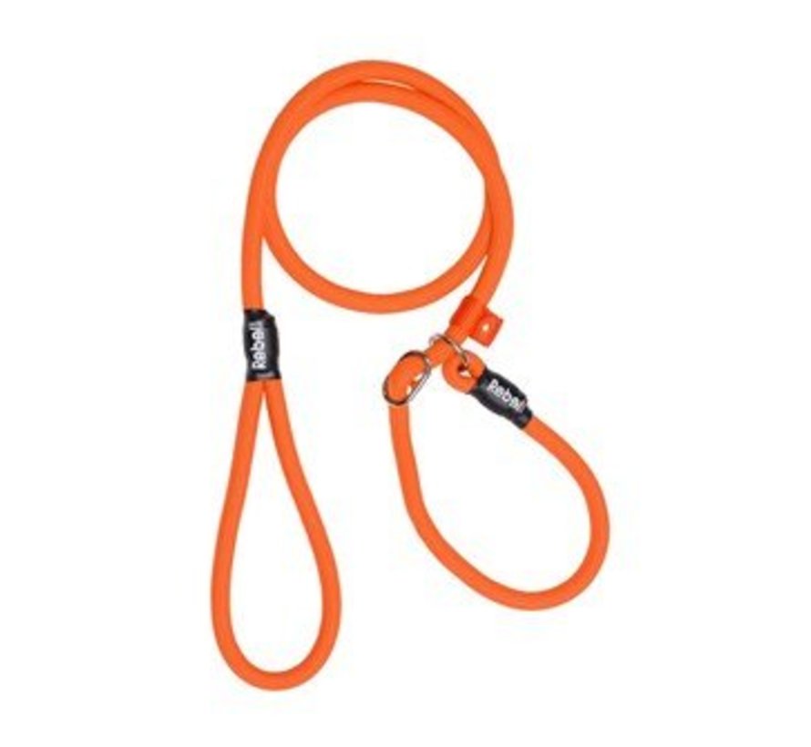 Training Leash Orange