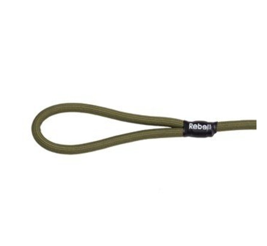 Dog Leash Green