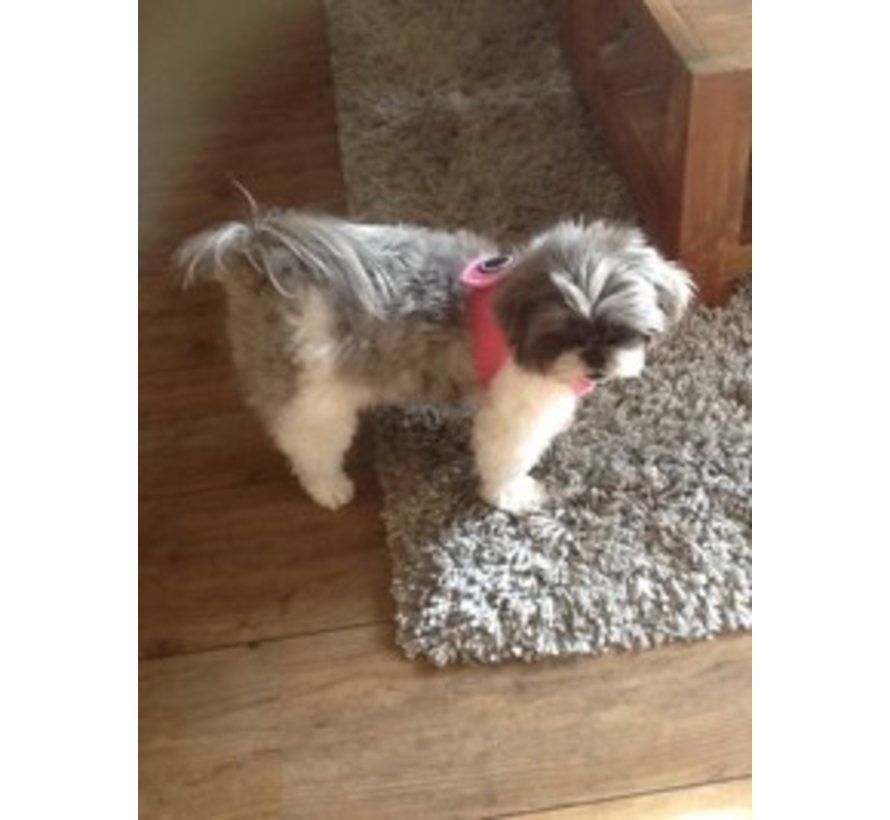 Dog Harness Soft Vest Harness Pink