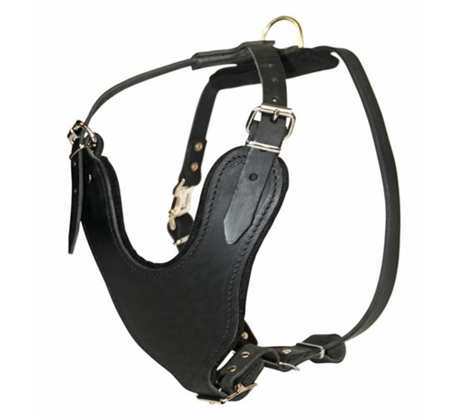 Dog Harness Basic