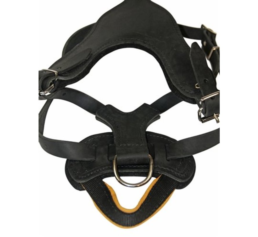 Dog Harness Basic