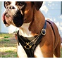 Dog Harness Dean's Choice