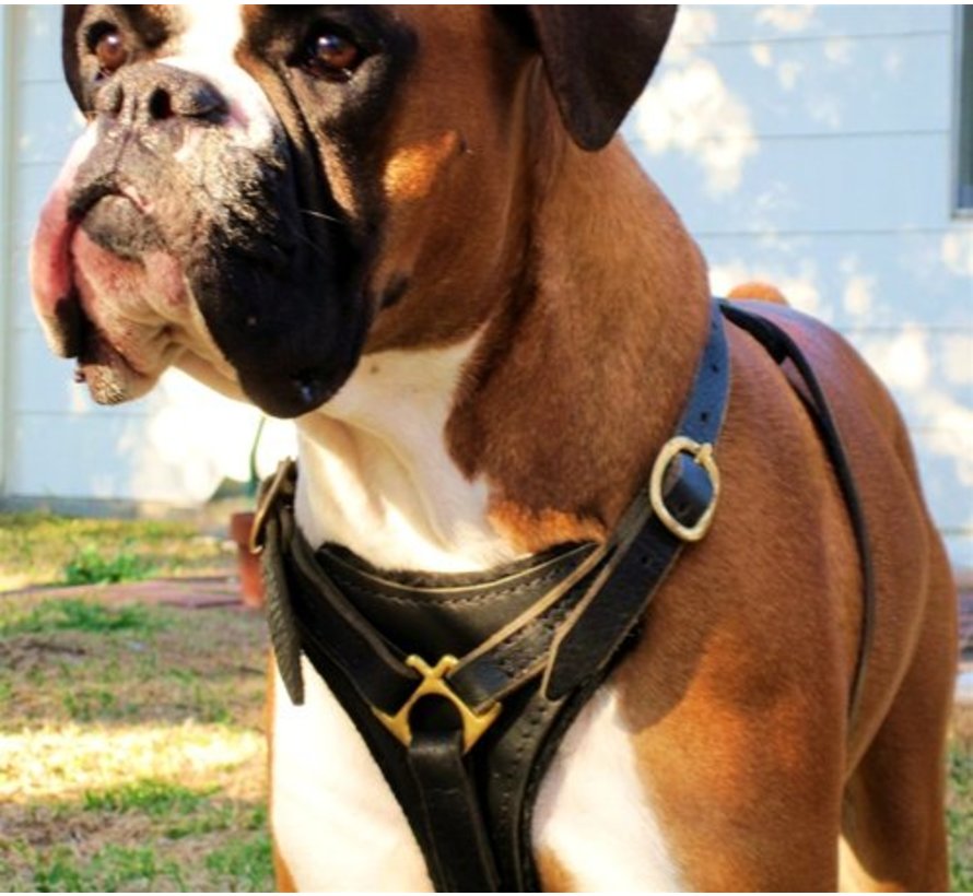 Dog Harness Dean's Choice