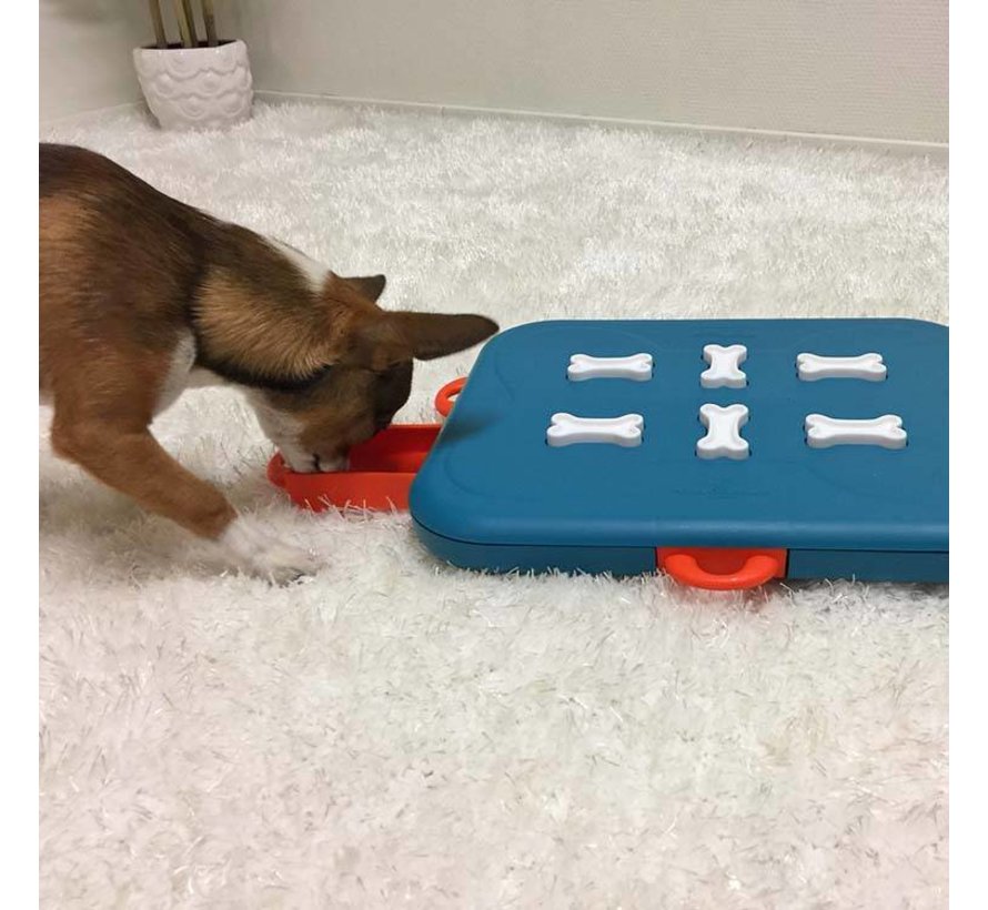 Dog Puzzle Casino