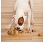 Dog Puzzle Dog Smart Composite