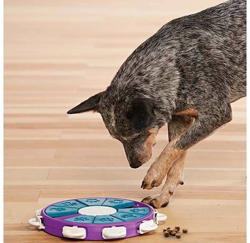 Nina Ottosson Puzzle Dog Twister