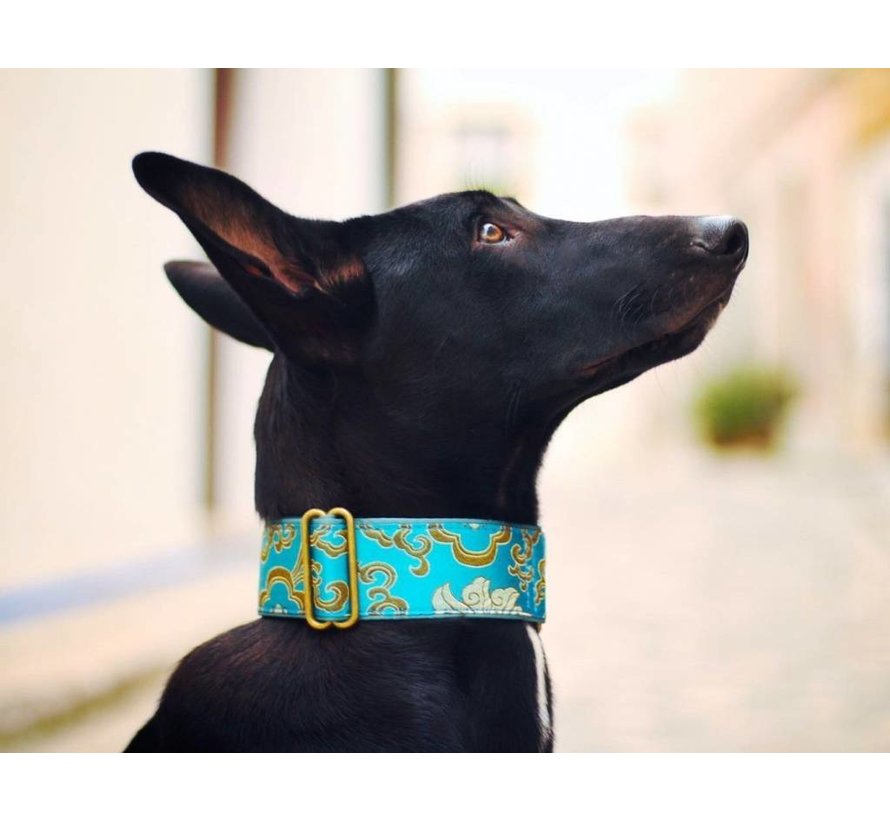 Martingale Dog Collar Brocade Green