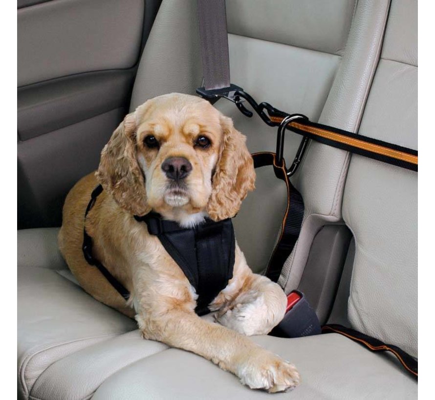 Veiligheidsriem Auto Zip Line