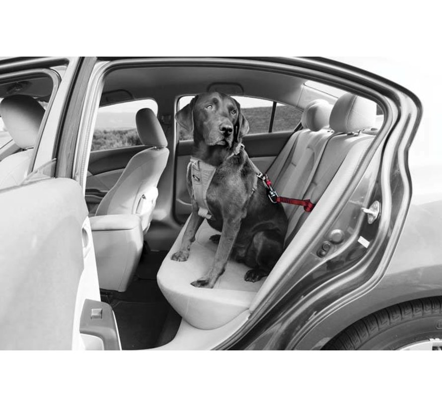 Safety Leash Swivel Tether