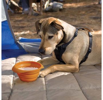 Kurgo Collapsible Drinking Bowl Collaps-a-Bowl Orange