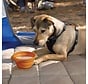 Collapsible Drinking Bowl Collaps-a-Bowl Orange