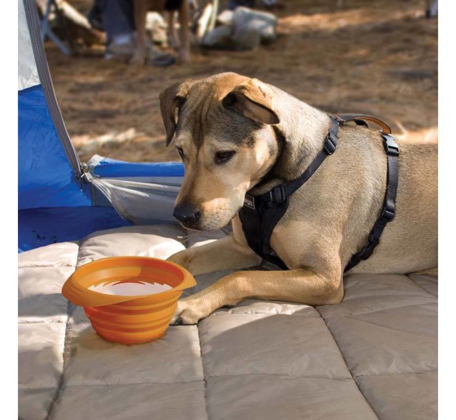 Opvouwbare Voerbak Collaps-a-Bowl Oranje