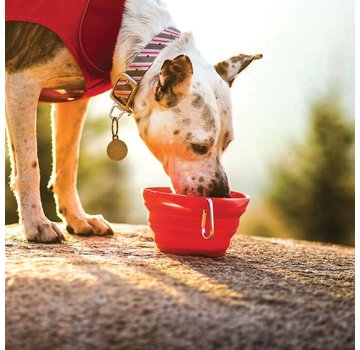 Kurgo Collapsible Drinking Bowl Collaps-a-Bowl Red