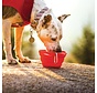 Collapsible Drinking Bowl Collaps-a-Bowl Red