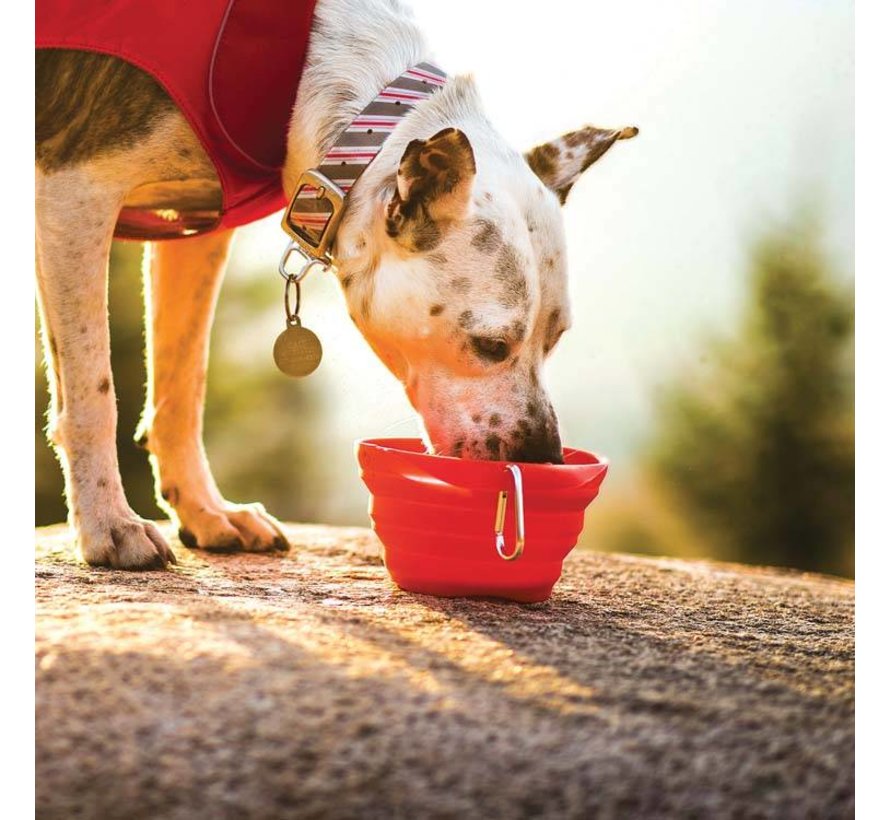 Collapsible Drinking Bowl Collaps-a-Bowl Red