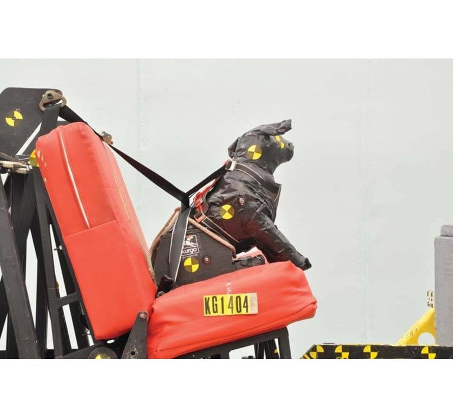 kurgo impact harness