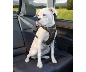 Kurgo Impact Dog Car Harness Petsonline