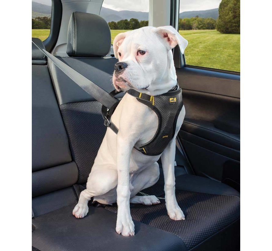 Hondentuig Impact Dog Car Harness