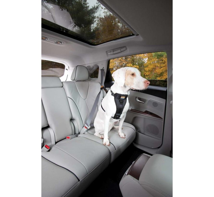 Reinforced Dog Harness for the car Black