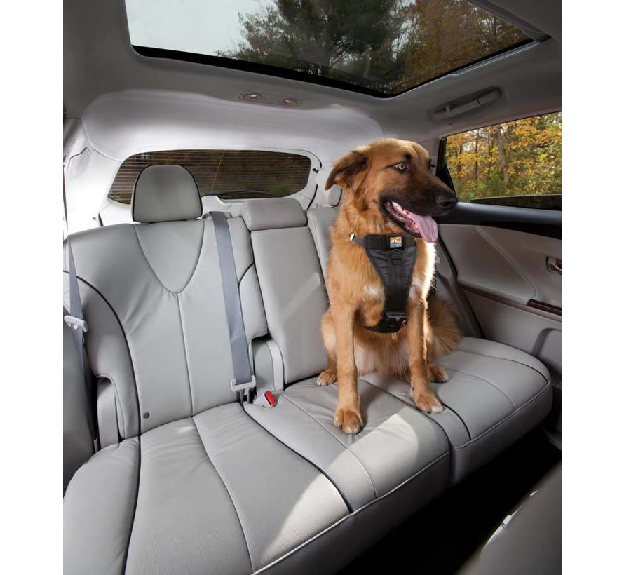 Reinforced Dog Harness for the car Black