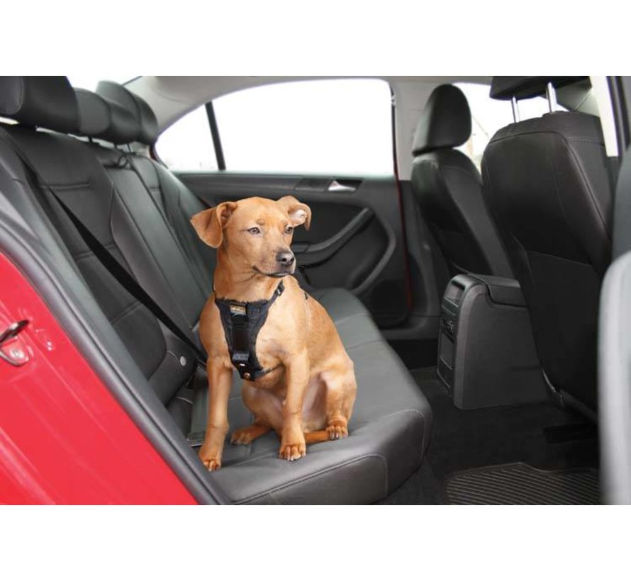 Reinforced Dog Harness for the car Black