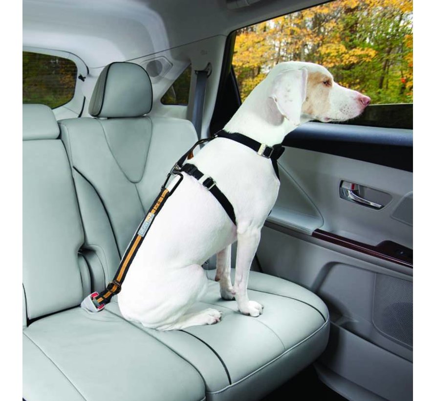 Kurgo Safety Belt For Seat Belt Petsonline