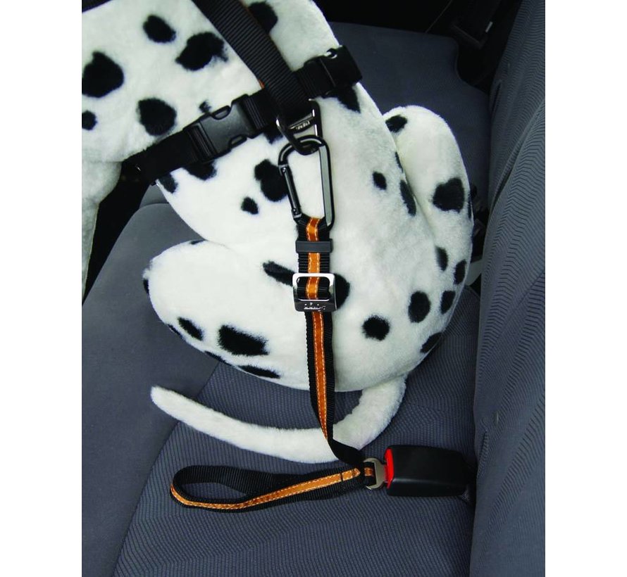 Safety belt for seat belt