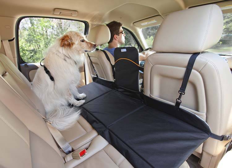 Afbeelding Backseat Bridge door Petsonline