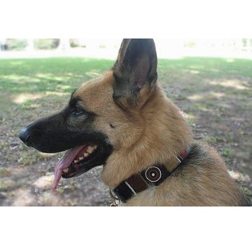 The Kenyan Collection Dog Collar Topi