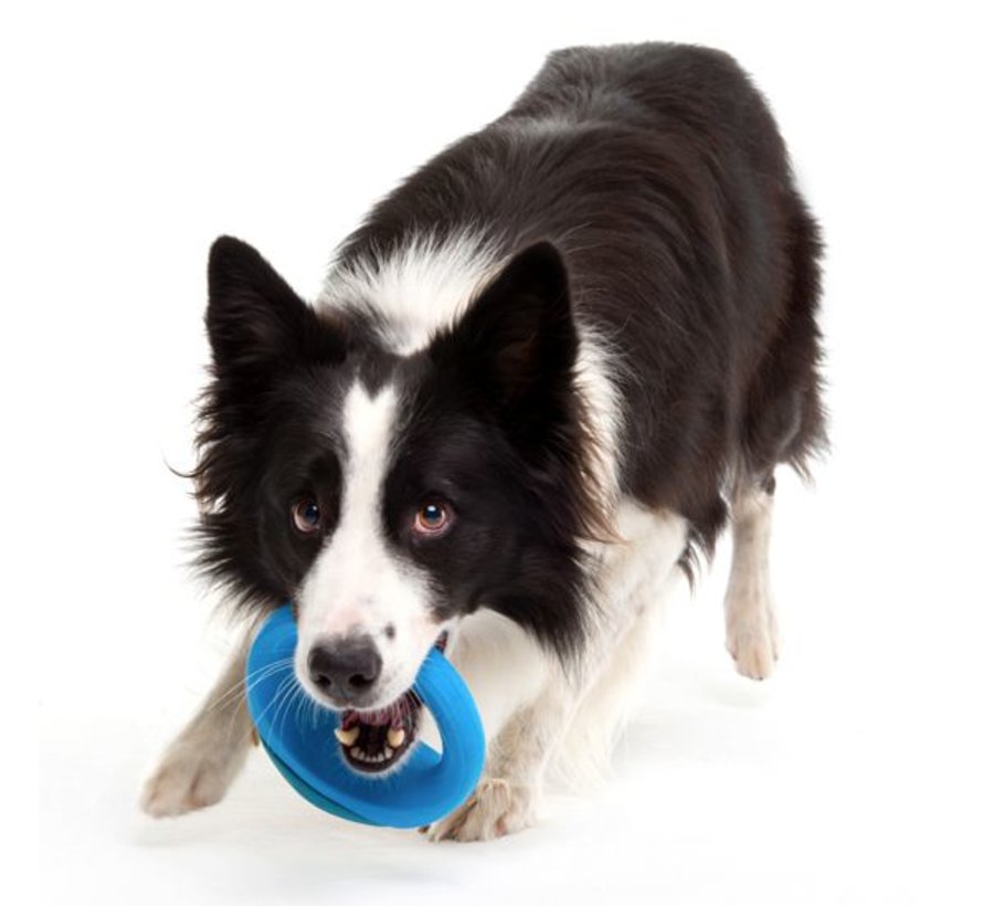 Hondenspeelgoed Pop Upz Blauw