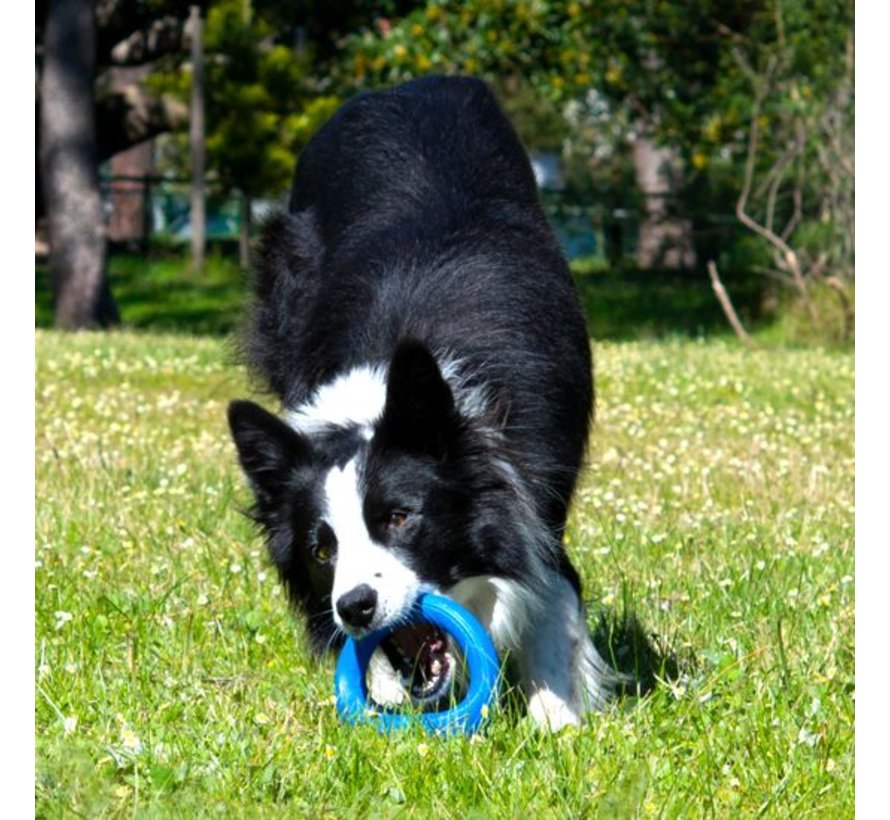 Dog Toy Pop Upz Blue