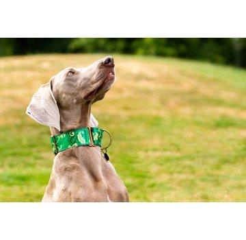 Barcelona Dogs Martingale Dog Collar Brocade Green