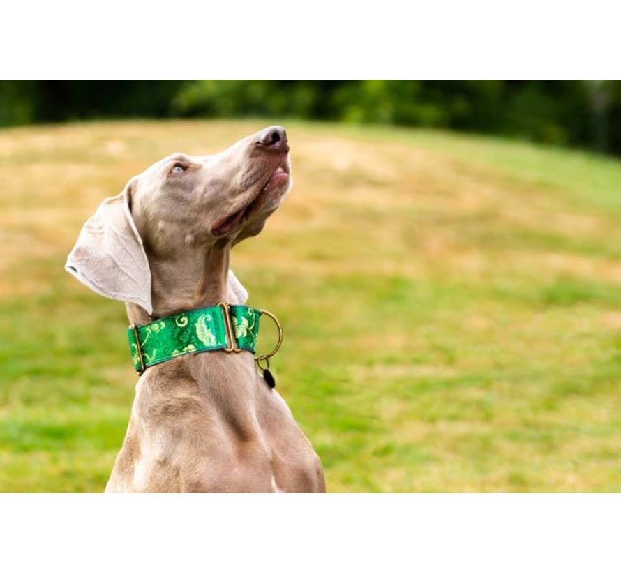 Martingale Dog Collar Brocade Green