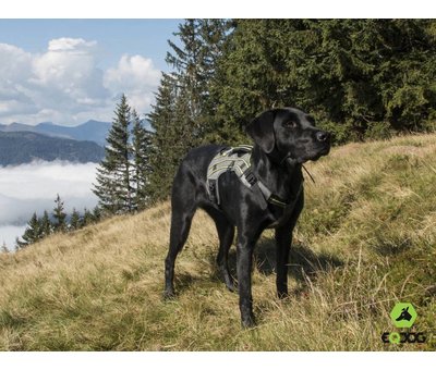 EQDOG Dog Harness Pro Harness Green