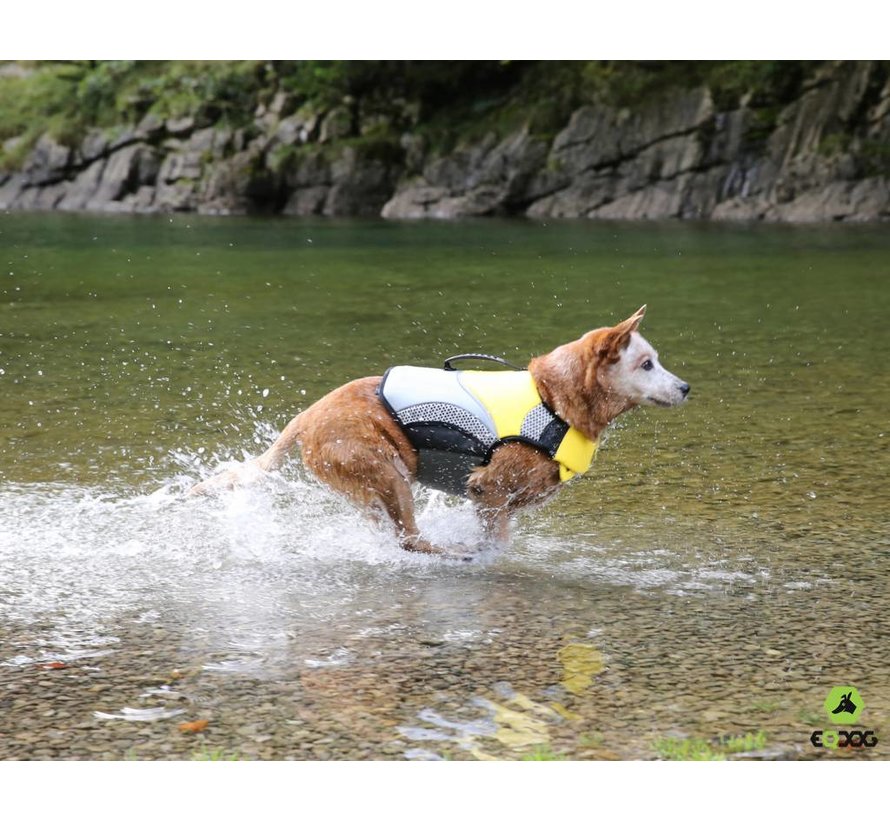 Dog Life Vest Pro Life