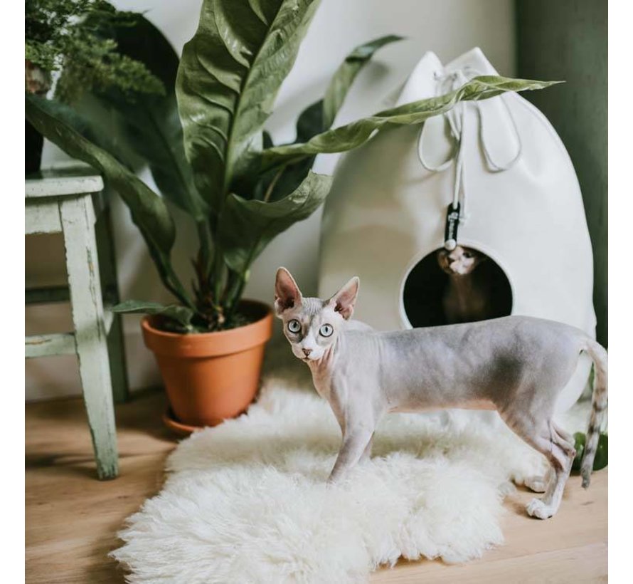Design Cat Bed Casa Merengue