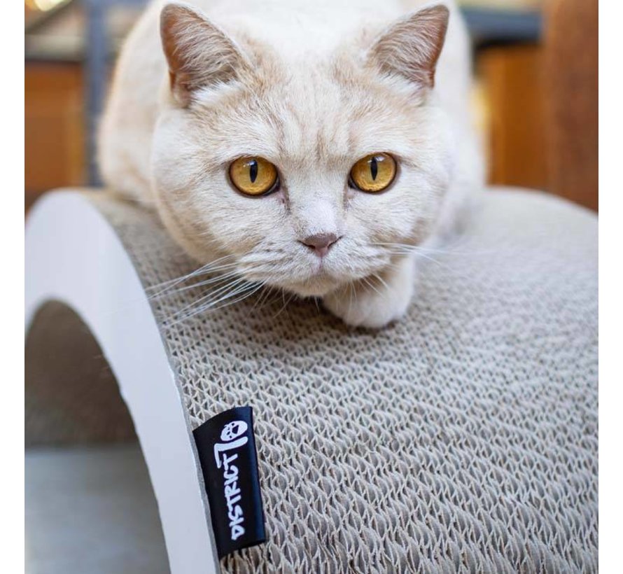 Cat Scratcher Arch