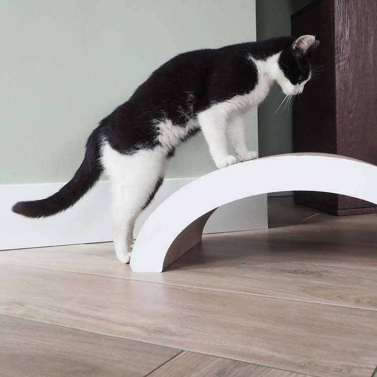 Afbeelding Krabmeubel Arch door Petsonline