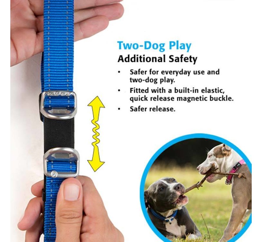 Dog Collar Safety Yellow