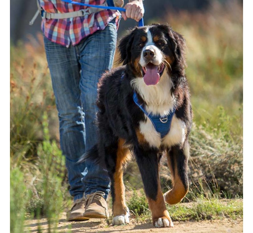 rogz explore harness price