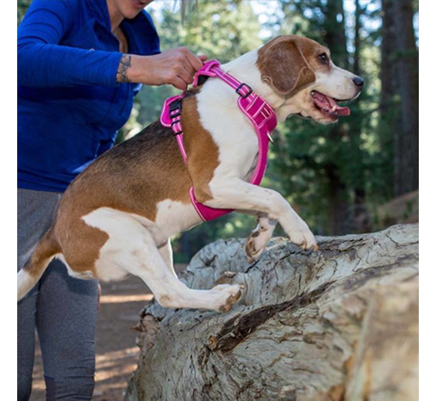 Dog Harness Explore Pink