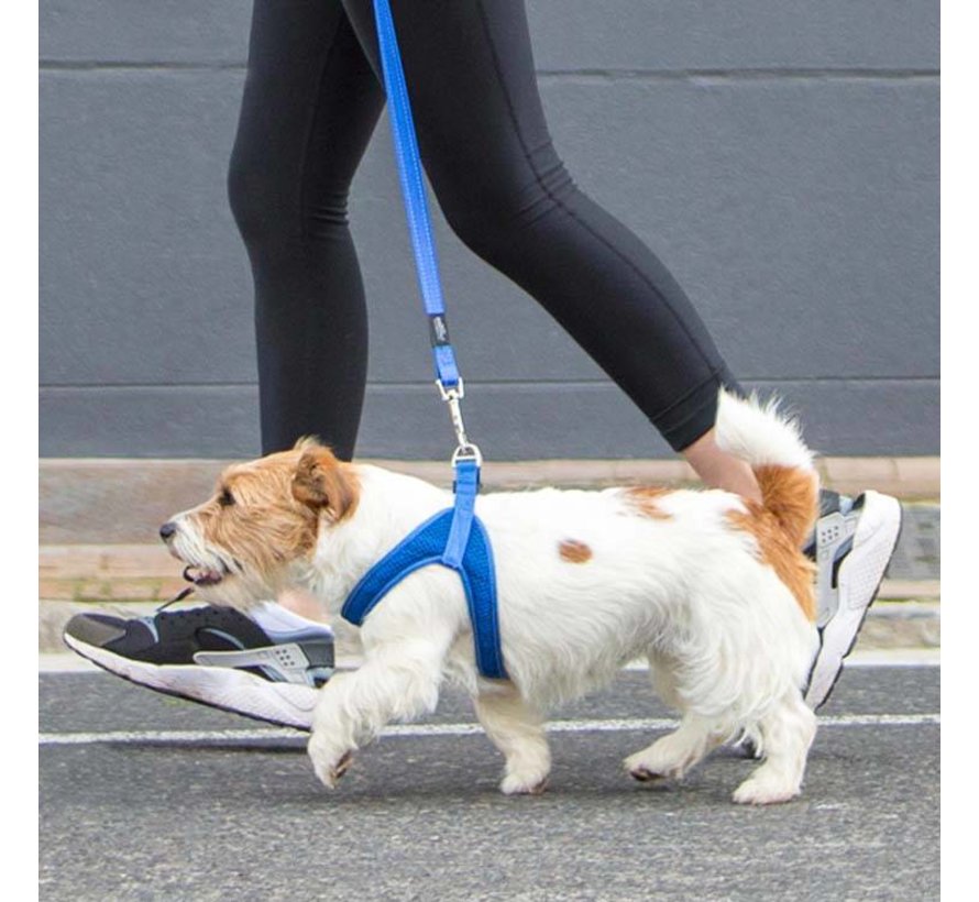 Dog Harness Utility Fast Fit Blue