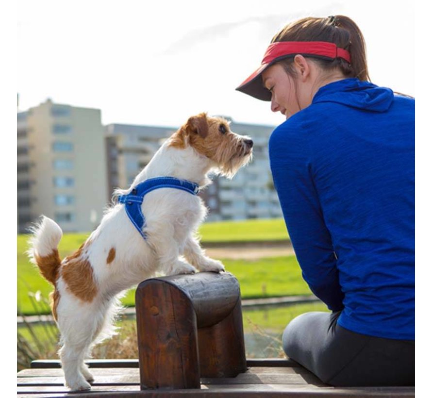 Hondentuig Utility Fast Fit Blauw