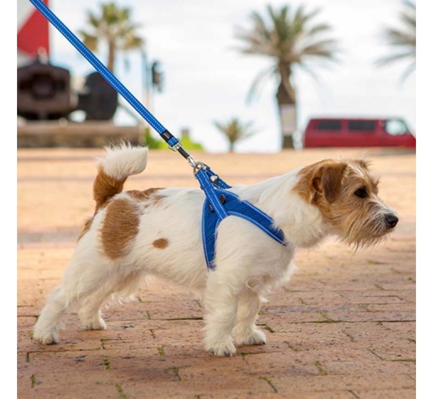 Dog Harness Utility Fast Fit Blue