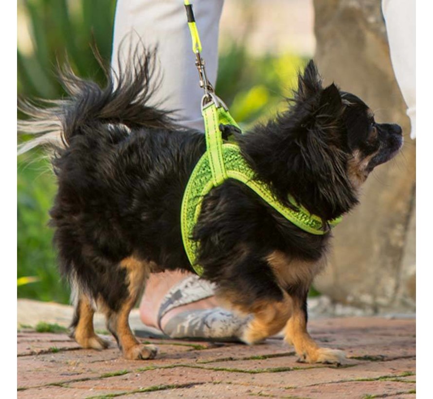 Dog Harness Utility Fast Fit Yellow