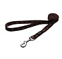 Dog Leash Alpinist Brown