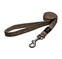 Dog Leash Alpinist Gold